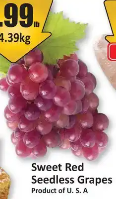 Starsky Sweet Red Seedless Grapes offer