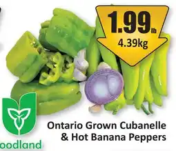 Starsky Ontario Grown Cubanelle & Hot Banana Peppers offer