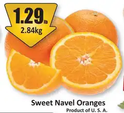 Starsky Sweet Navel Oranges offer