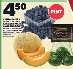 Independent City Market CANTALOUPES, FARMER'S MARKET AVOCADO BAG, 5'S OR BLUEBERRIES, PINT offer