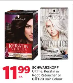 Rexall SCHWARZKOPF Ultime, Keratin or Root Retoucher or GÖT2B Hair Colour offer