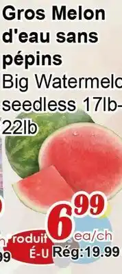 Marche C&T Big Watermelon seedless offer
