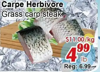 Marche C&T Carpe Herbivore offer