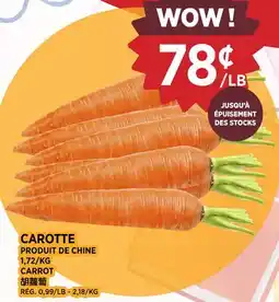 Kim Phat CARROT offer