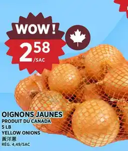 Kim Phat OIGNONS JAUNES offer
