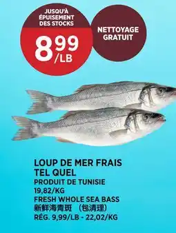 Kim Phat FRESH WHOLE SEA BASS offer
