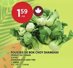 Kim Phat SHANGHAI BOK CHOY TIPS offer