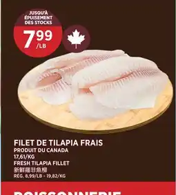 Kim Phat FRESH TILAPIA FILLET offer