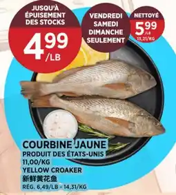 Kim Phat YELLOW CROAKER offer