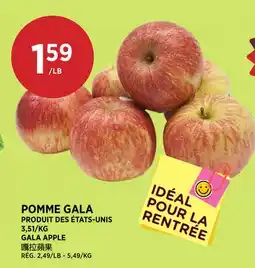 Kim Phat GALA APPLE offer