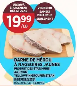Kim Phat YELLOWFIN GROUPER STEAK offer