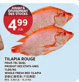 Kim Phat WHOLE FRESH RED TILAPIA offer