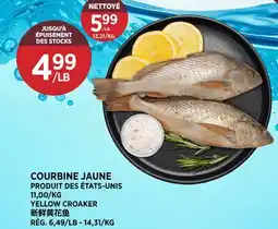 Kim Phat COURBINE JAUNE offer