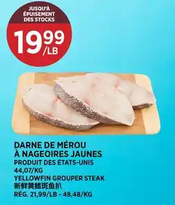 Kim Phat YELLOWFIN GROUPER STEAK offer