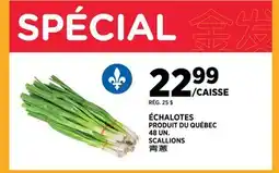Kim Phat SCALLIONS offer