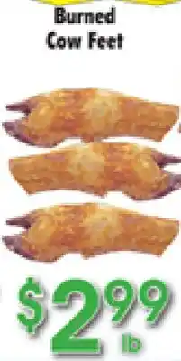 Danforth Food Market Burned Cow Feet offer