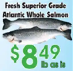 Danforth Food Market Fresh Superior Grade Atlantic Whole Salmon offer
