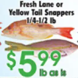 Danforth Food Market Fresh Lane or Yellow Tail Snappers offer