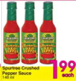 Danforth Food Market Spurtree Crushed Pepper Sauce offer
