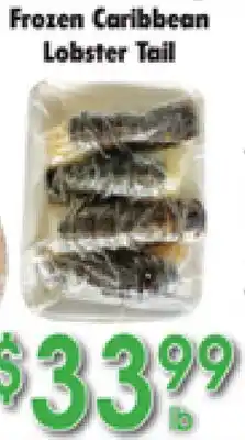 Danforth Food Market Frozen Caribbean Lobster Tail offer