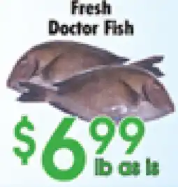 Danforth Food Market Fresh Doctor Fish offer