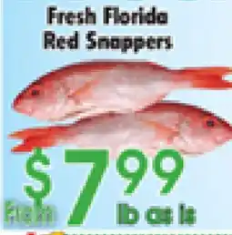 Danforth Food Market Fresh Florida Red Snappers offer