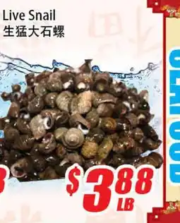 WinCo Food Mart Live Snail offer