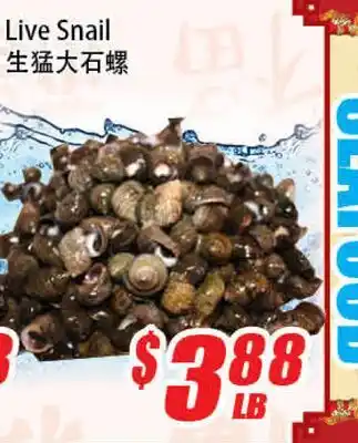 WinCo Food Mart Live Snail offer