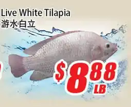 WinCo Food Mart Live White Tilapia offer