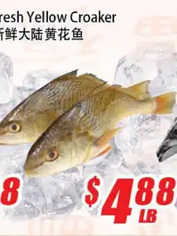 WinCo Food Mart Fresh Yellow Croaker offer