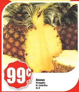 Bonanza Ananas offer
