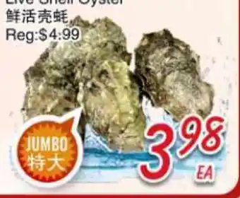 Foody Mart Live Shell Oyster offer