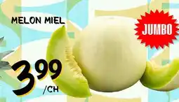 Marche Salaberry MELON MIEL offer