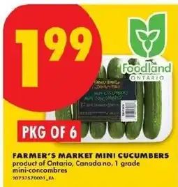 No Frills Farmer's market mini cucumbers offer