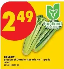 No Frills celery offer