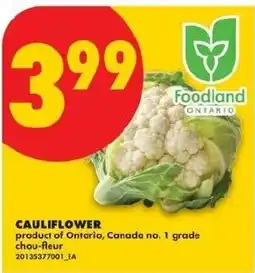 No Frills Cauliflower offer