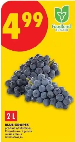 No Frills Blue grapes offer
