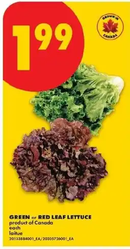 No Frills green or red leaf lettuce offer