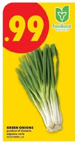 No Frills Green onions offer