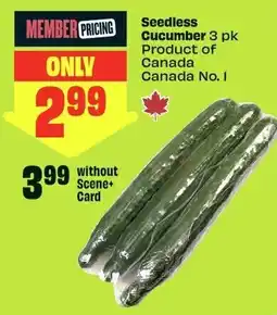 FreshCo Seedless Cucumber offer
