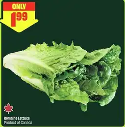 FreshCo Romaine Lettuce offer