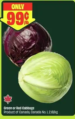 FreshCo Green or Red Cabbage offer