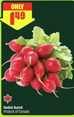 FreshCo Radish Bunch offer