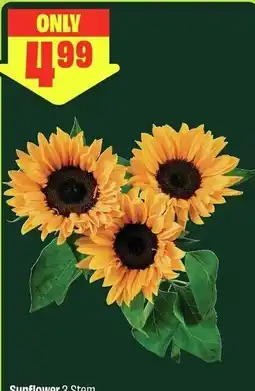 FreshCo Sunflower 3 Stem offer