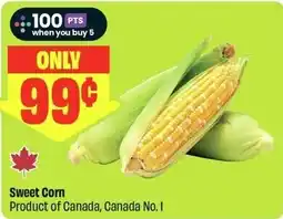 FreshCo Sweet Corn offer