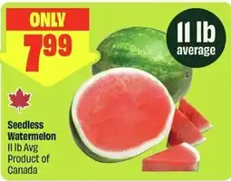 FreshCo Seedless Watermelon offer