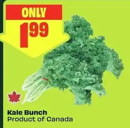 FreshCo Kale Bunch offer