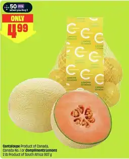 FreshCo Cantaloupe offer