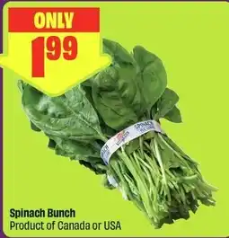 FreshCo Spinach Bunch offer