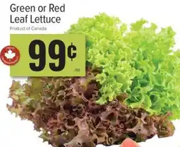 Produce Depot Green or Red Leaf Lettuce offer